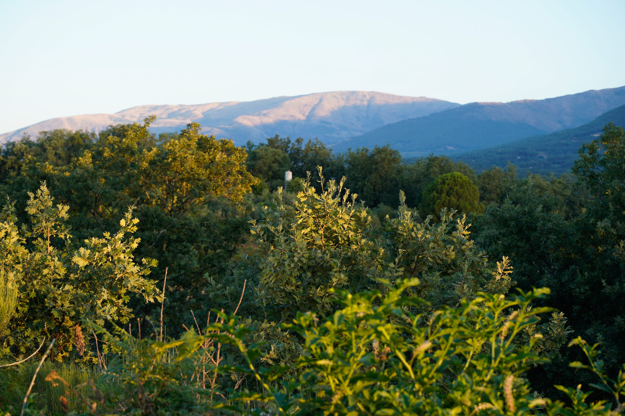 La Hospedería del Silencio